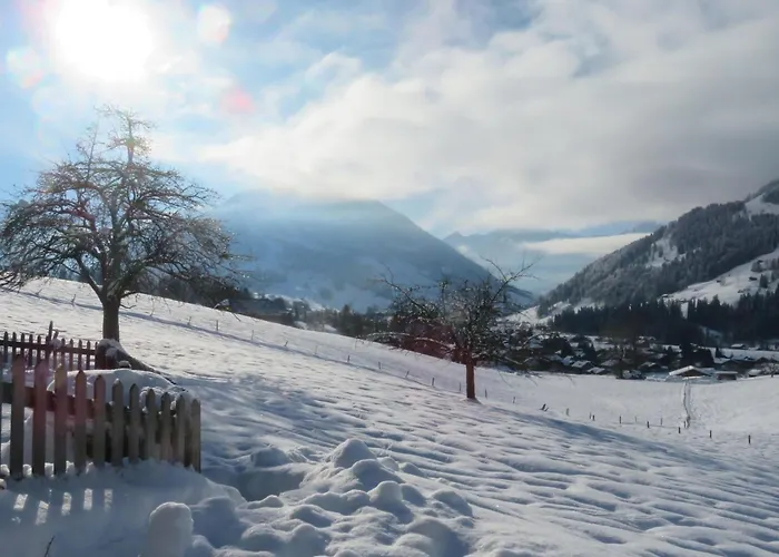 Appartement Tuellerhus By Interhome Gstaad